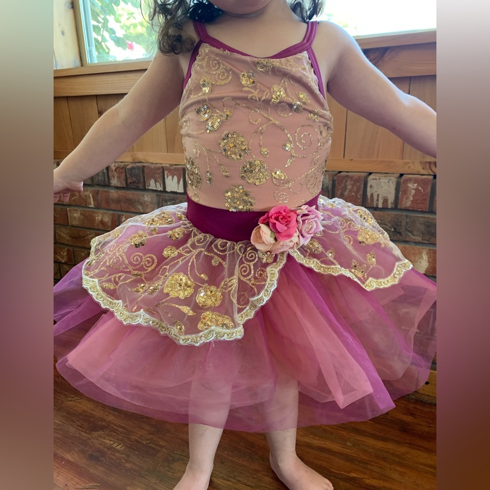 Dress Up Costume